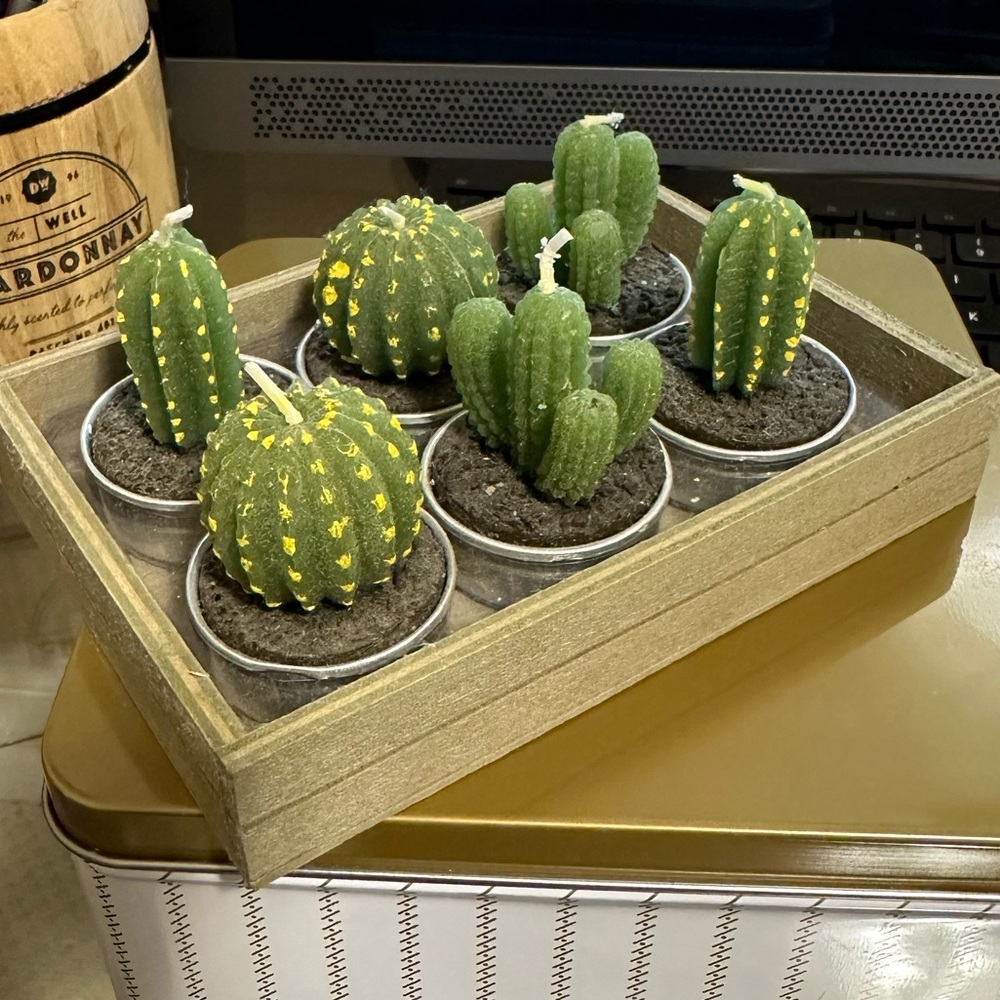 Cactus Succulent Mini Candle Set